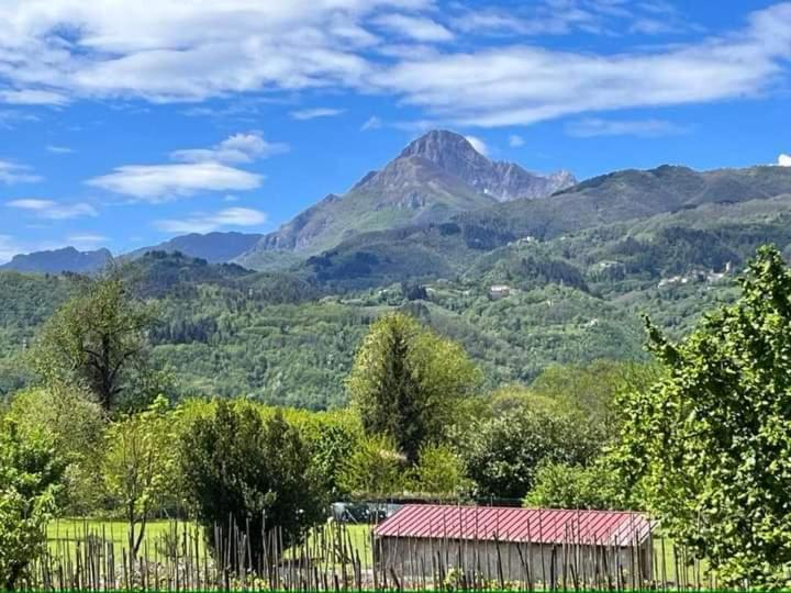 Affittacamere La Foresta Di Sopra Barga Exteriör bild